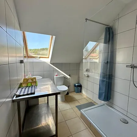 Auberge de jeunesse Ipw Cafe & Kobylany (Krakow)